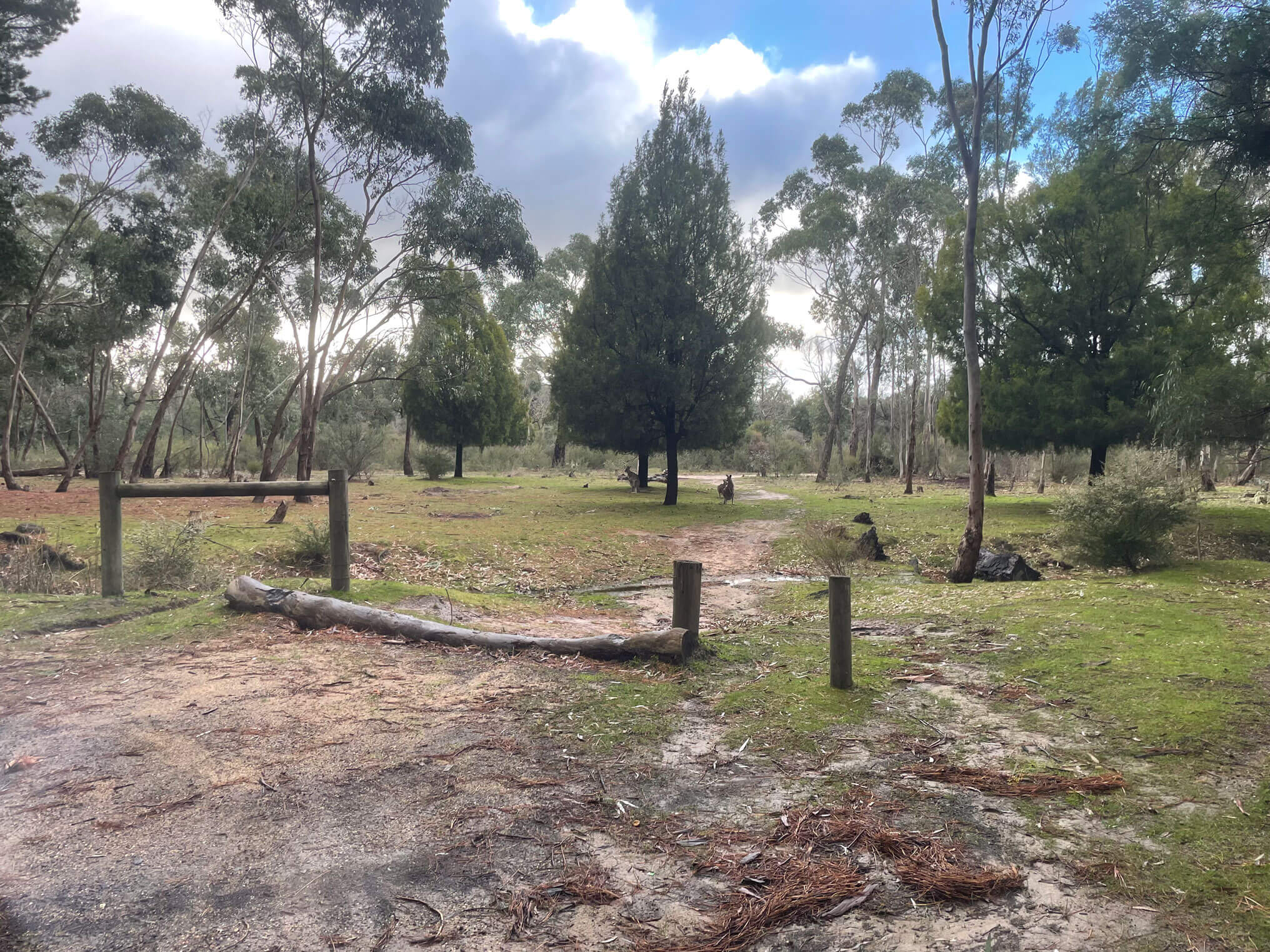 camp-by-me-Grampians-1