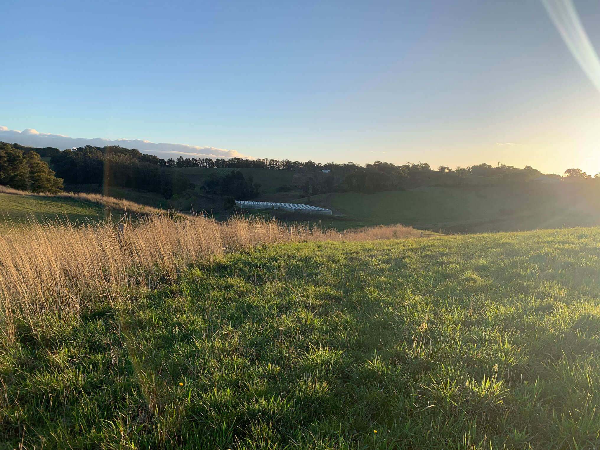 camp-by-me-virtual-tours-Tilbrook-Estate-Winery-9