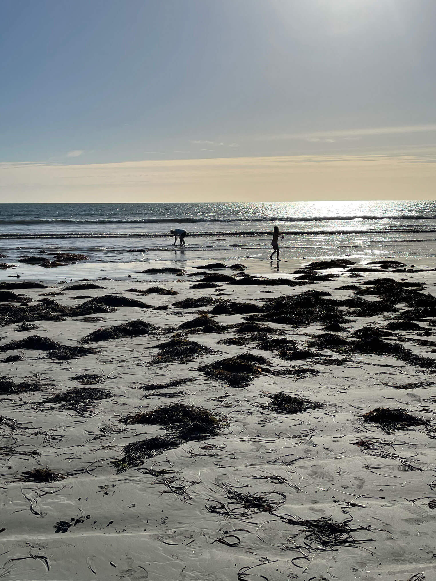 camp-by-me-virtual-tours-wills-beachshack-8