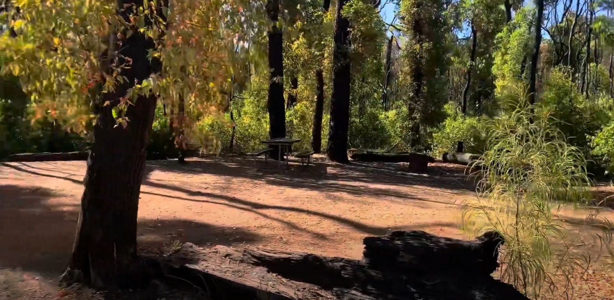 CanebrakePool2