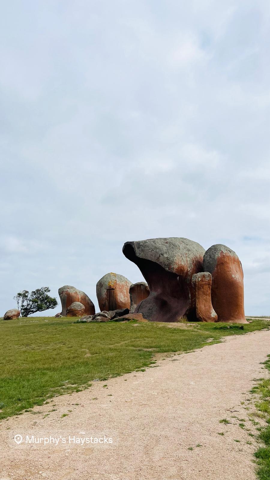 PHOTO-2026-05-14-16-31-45
